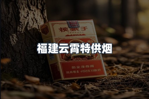 福建云霄特供烟